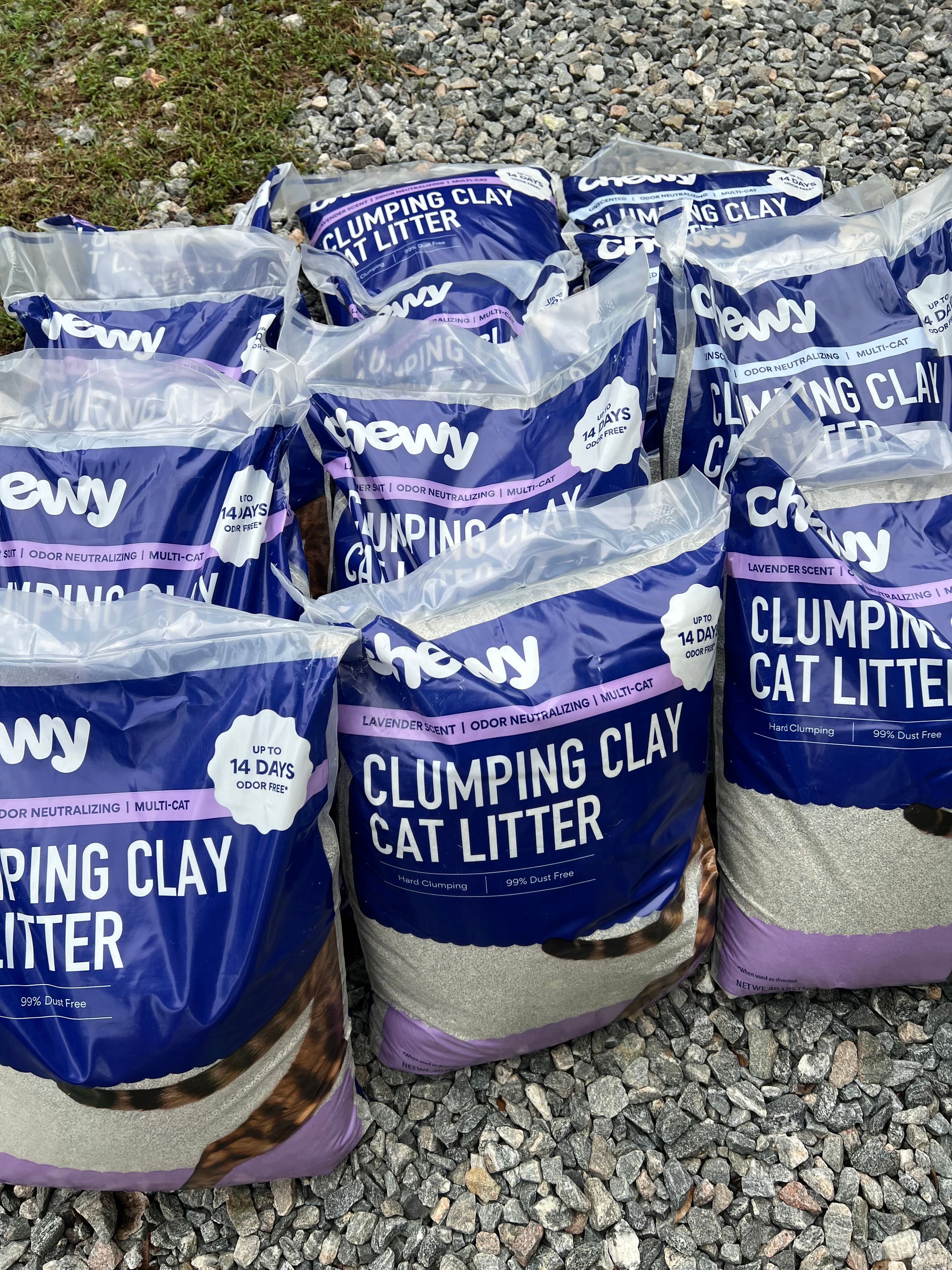 Bags of cat litter donated to Faith Animal Rescue — supplies like these are always needed