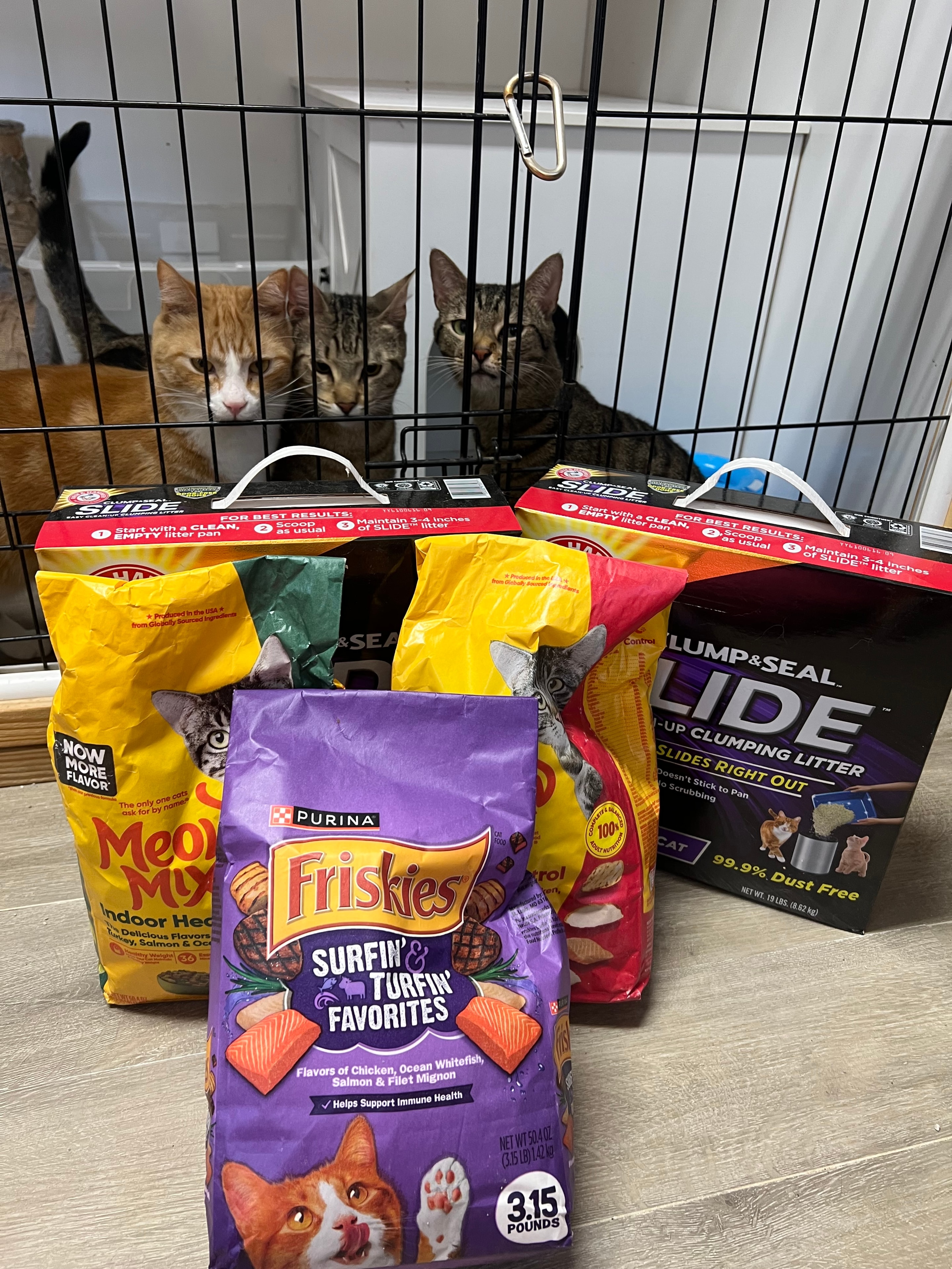 Cats watching donated Friskies and Slide cat litter supplies