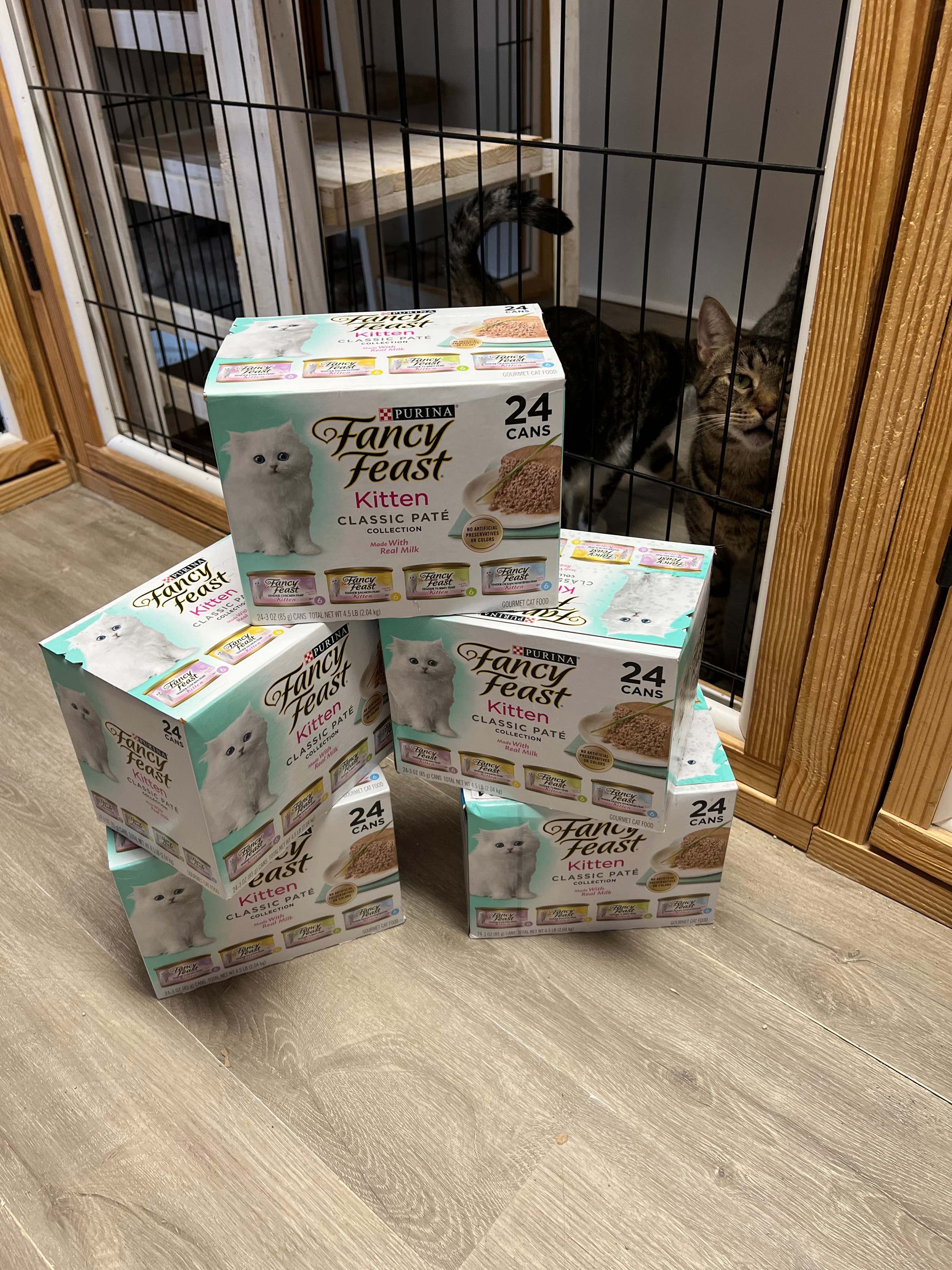 Chewy boxes of donated cat food and supplies
