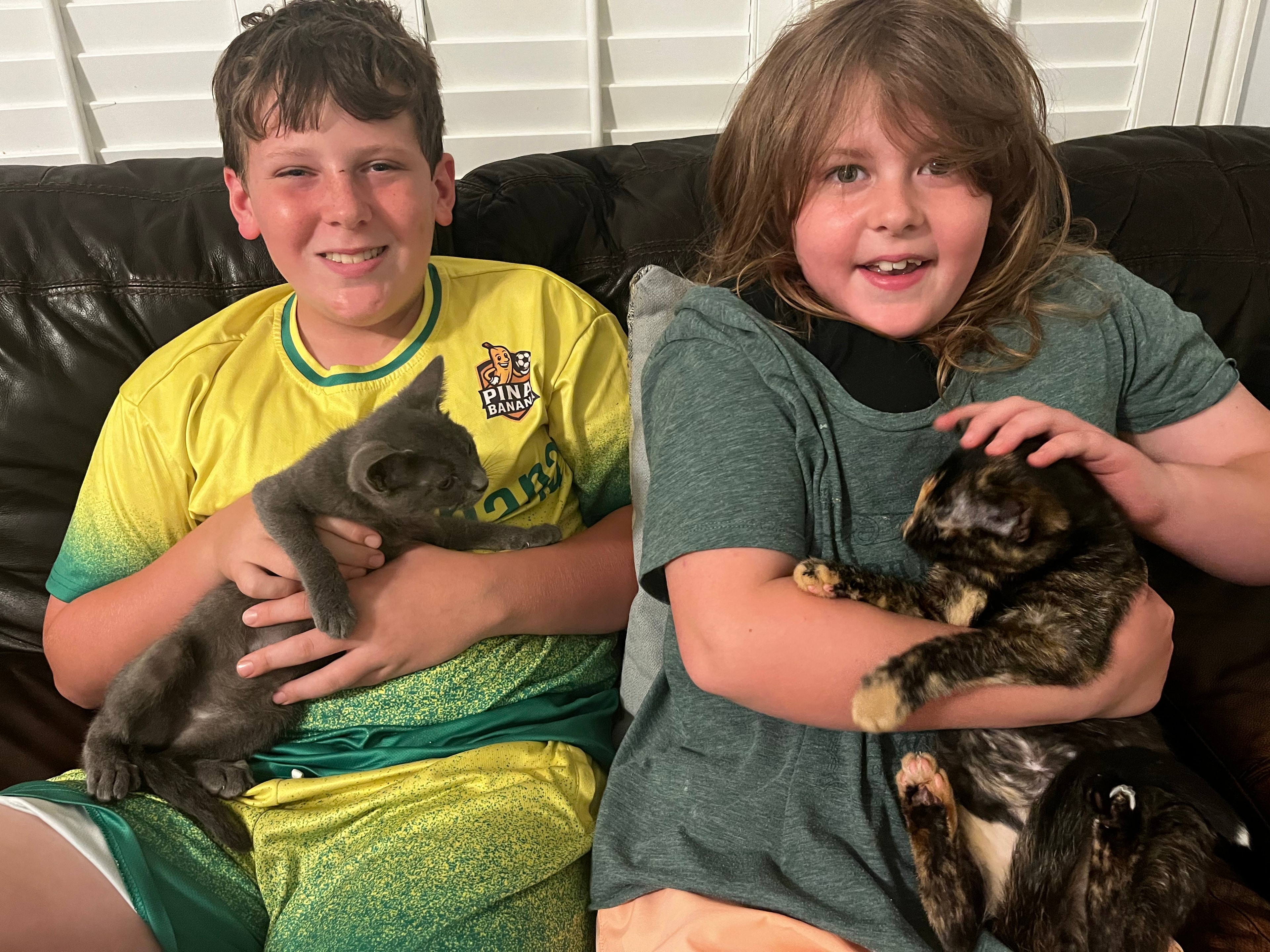Happy tales adoption photo 10