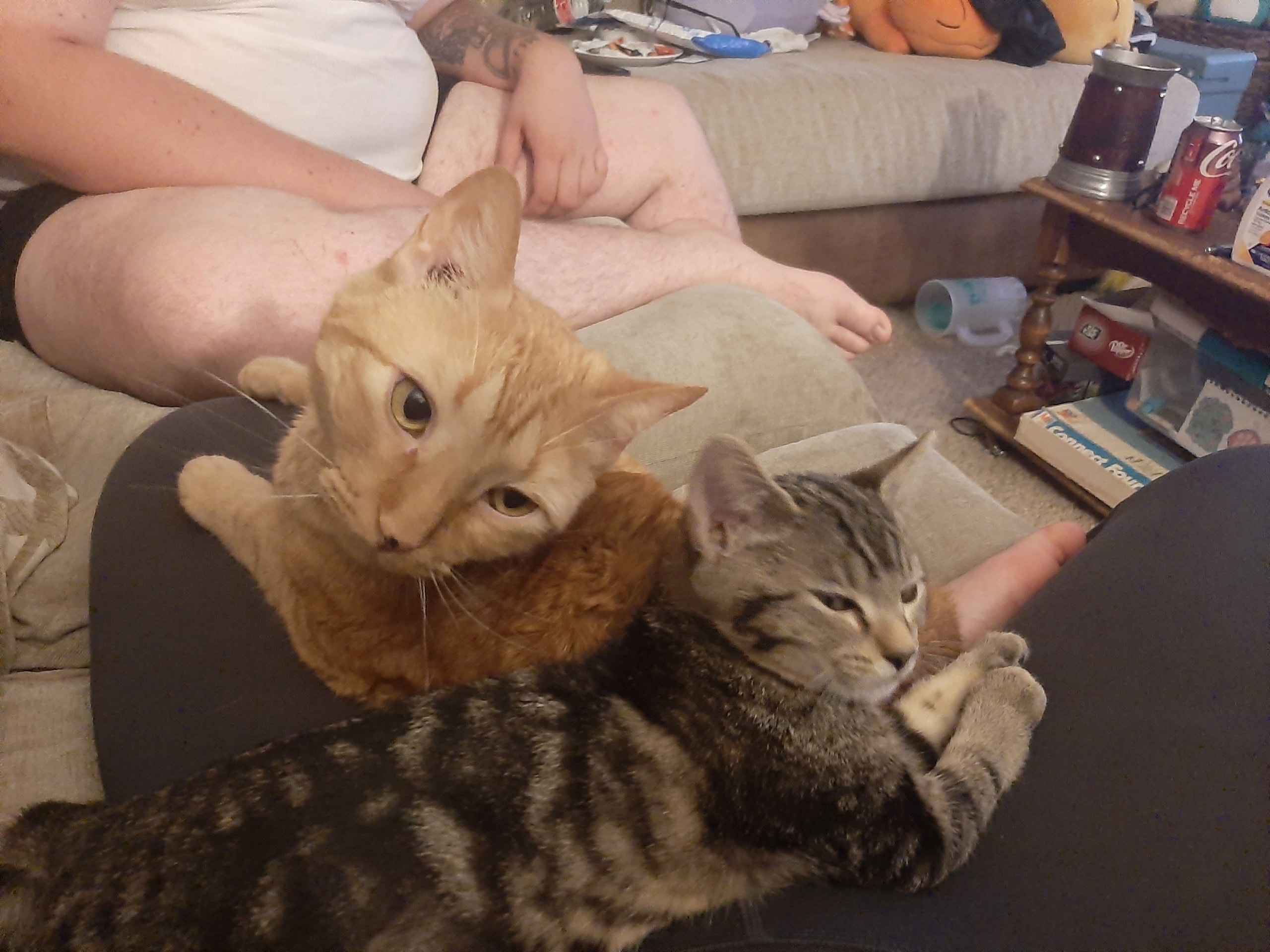Happy tales adoption photo 4