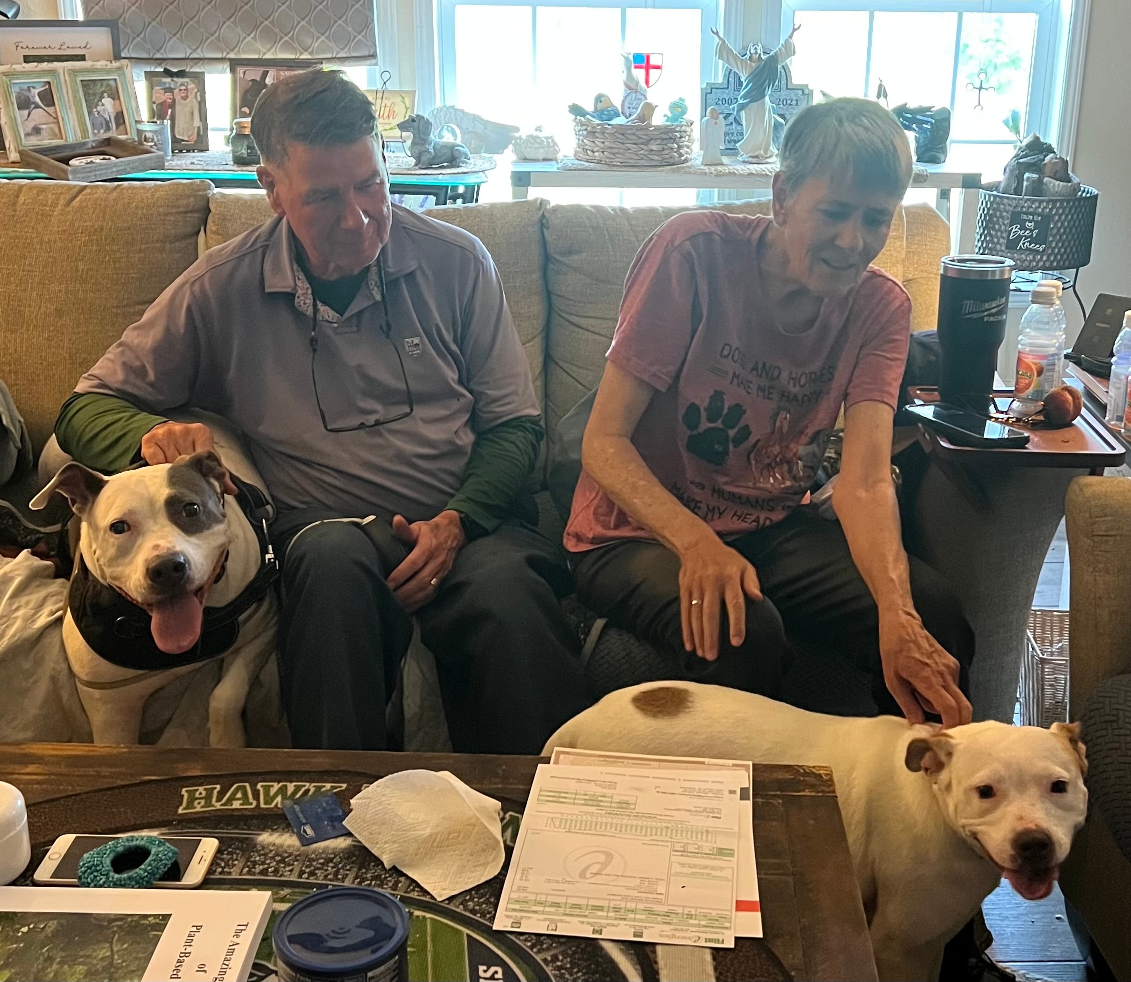 Happy tales adoption photo 9